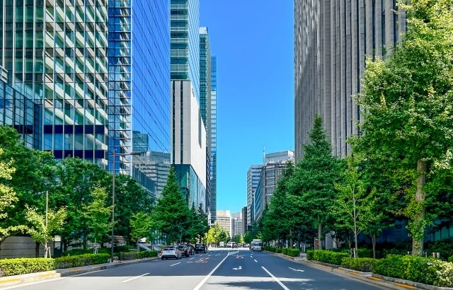 ビルと緑の街路樹が続く大手町のビジネス街